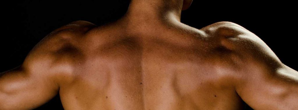 How to Choose the Right Mass Gainer